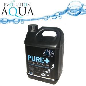 Pure Filter Start Gel 2,5l na 25-150m3