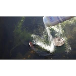 Oase AquaActiv AlGo Direct 500 ml na 10 m3 - proti vláknité řase