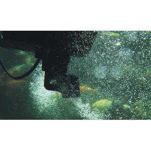 Oase Swimskim 50 